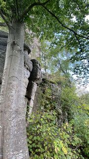 Foto von Harald Dauwa-Stummer entlang der Tour