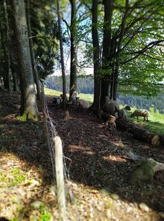 Fotografia z Huhaldimann na trase