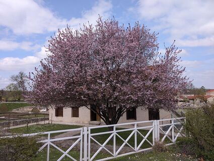 Foto von Franz Dvoran entlang der Tour