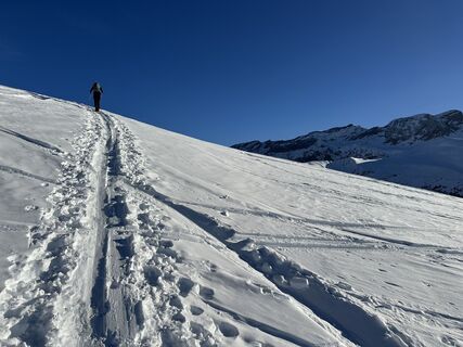 Fotografia z Barnaby na trase