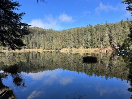 Photo de Denise Grossen le long du parcours