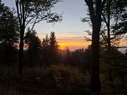 Foto von MrMoseq entlang der Tour