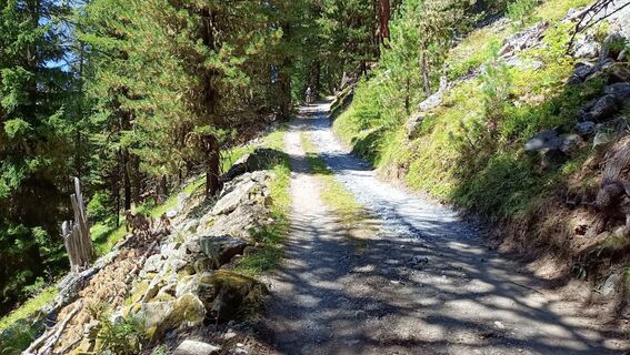 Foto von Maurizio Dell'acqua entlang der Tour
