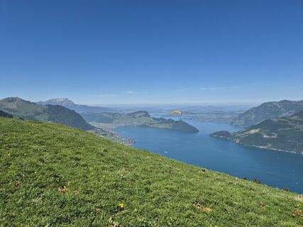 Photo de alinradu le long du parcours
