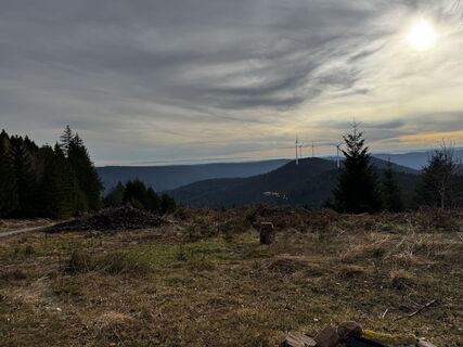 Foto von Markus Raupp entlang der Tour