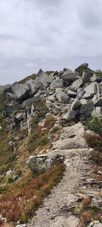 Photo de Siegfried Scholz le long du parcours