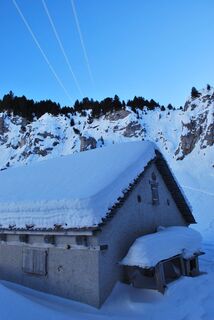 Alpe Pertusio