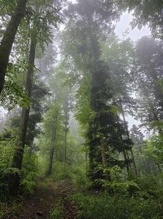 Foto von Noreen (NoKe) entlang der Tour