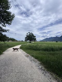 Foto von Anja Aulich entlang der Tour