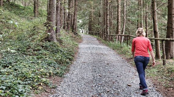 Der Weg führt durch den Wald