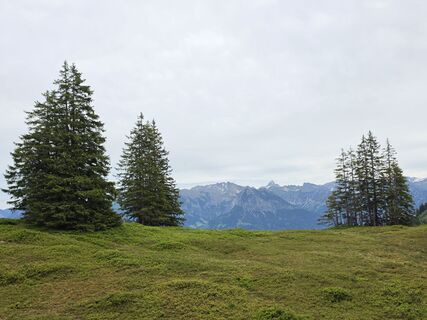 Foto de Gudrun Lippert a lo largo del recorrido
