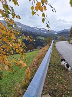 Foto von Dagmar Hofer entlang der Tour