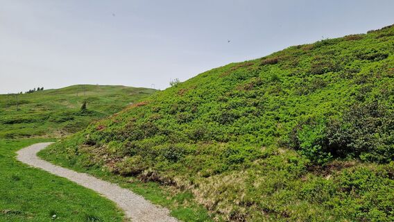 Foto de Gerrit van der Linde a lo largo del recorrido
