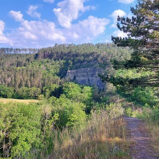 Kammweg, Blick zum Jungfernsprung