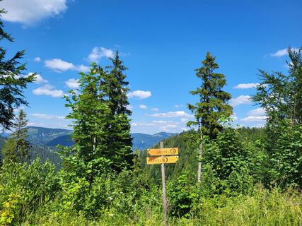 Foto von BergfexxMaxx entlang der Tour