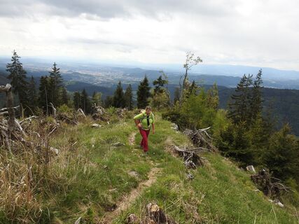 Kammweg zum Niederschöckl