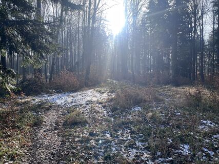 Foto von Katharina Kickinger entlang der Tour