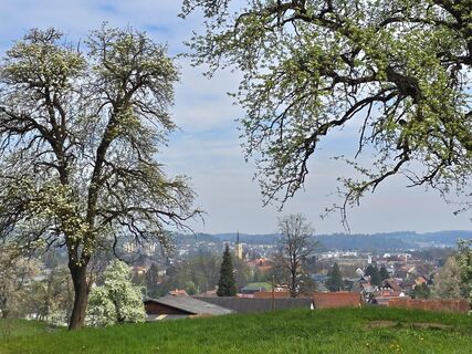 Foto von MRDL entlang der Tour