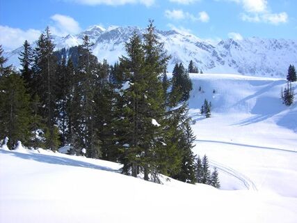 Blick Richtung Brienzer Rothorn
