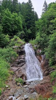 Fotografija s spletne strani Regina Fleischmann na poti