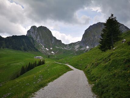 Blick auf Gantrisch und Nüneneflue - Wasserscheide-Stockhorn