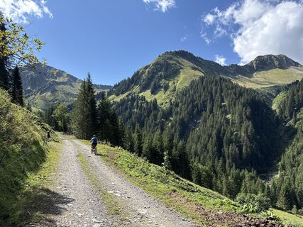 Foto von Albrecht Ulmer entlang der Tour