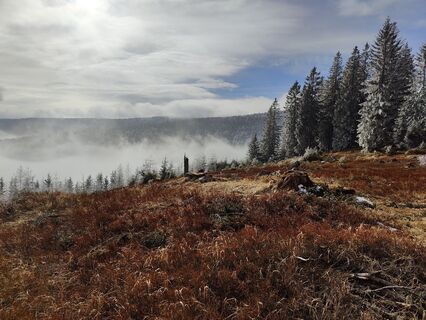 Fotografija s spletne strani Lena Eder na poti