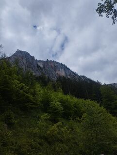 Foto von Mario Krenn 2 entlang der Tour