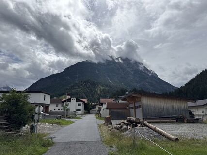 Photo de Grizzli le long du parcours