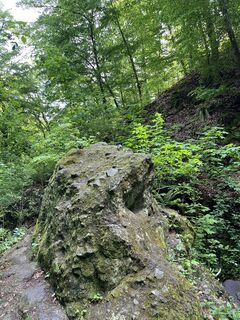 Foto von Lili Bártfai entlang der Tour