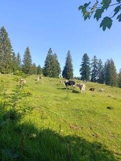Foto von Meli entlang der Tour