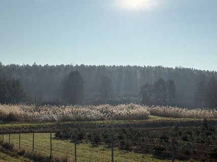 Foto de Norbert Herbig a lo largo del recorrido