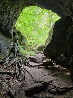 Fotografija s spletne strani Wil van Delft na poti