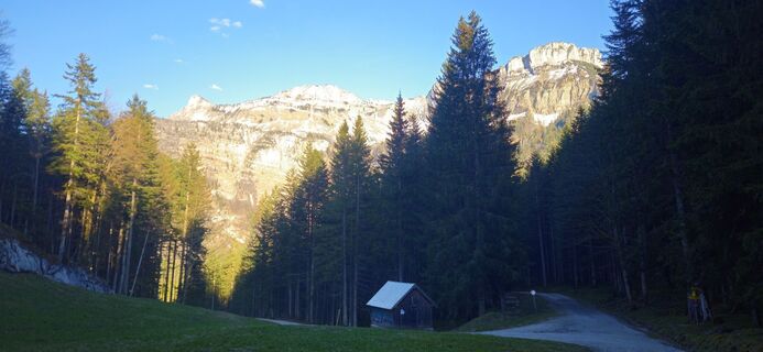 Photo de Johann Schallinger le long du parcours