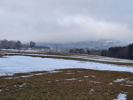 Foto von Bernadette Erla entlang der Tour