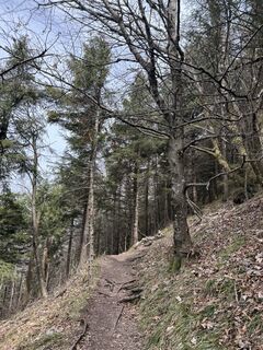 Fotografia z Sanja na trase