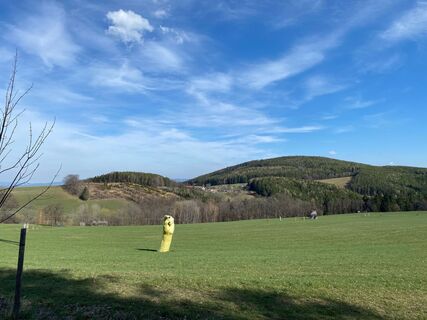 Kunst in der Landschaft von Gut Gasteil