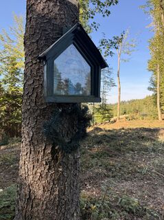 Foto von Veronika Gebetsroither entlang der Tour