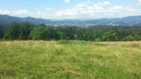 Blick Richtung Gratkorn