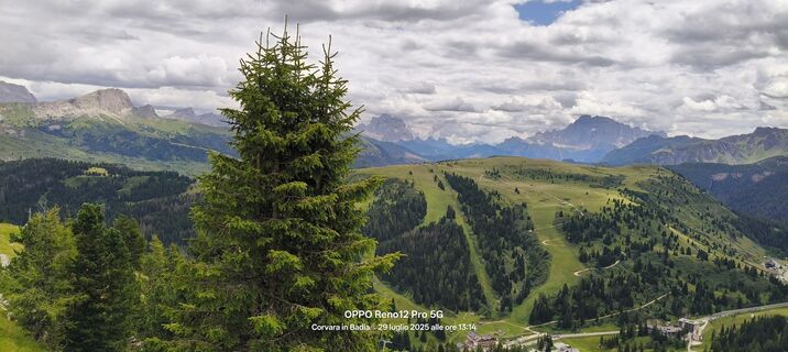 Photo de Sherpa 960 le long du parcours