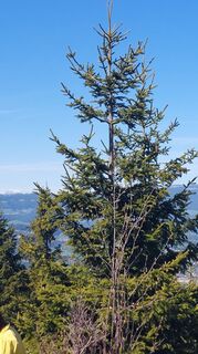 Foto von velisabeth entlang der Tour