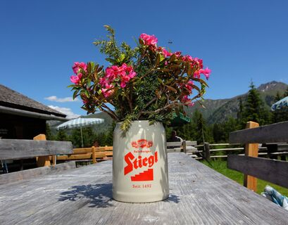 auf der Hirschgrubenalm
