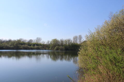 Zemljevid