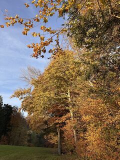 Fotó a Cyrill Bischof honlapról a túra során