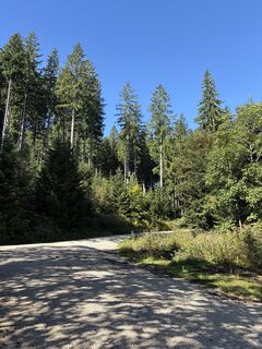 Fotografija s spletne strani Heinz Sperl na poti