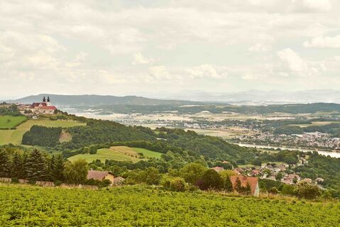 Maria Taferl im Sommer mit Panoramablick