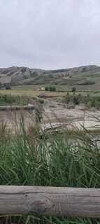 Photo de Brigitte Scheuffele le long du parcours