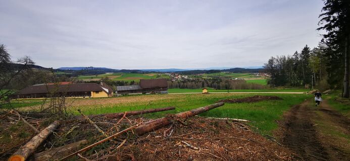 Foto von Klaus Lehner entlang der Tour