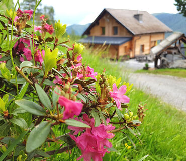Almhütte Kristabauer