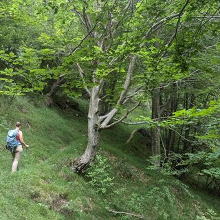 Weg zwischen den beiden Hütten Podestine und Caserata